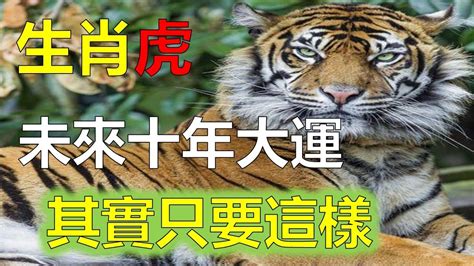 屬老虎的今年幾歲|【屬虎幾歲】2024年屬虎今年幾歲了？一次看懂你的生肖運勢